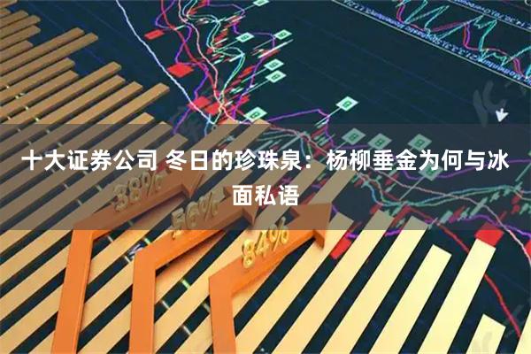 十大证券公司 冬日的珍珠泉：杨柳垂金为何与冰面私语