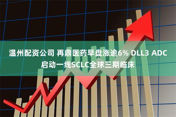 温州配资公司 再鼎医药早盘涨逾6% DLL3 ADC启动一线SCLC全球三期临床